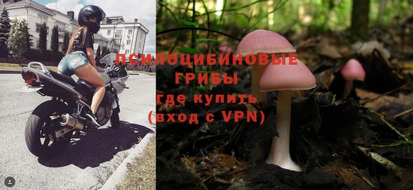 амф Снежинск